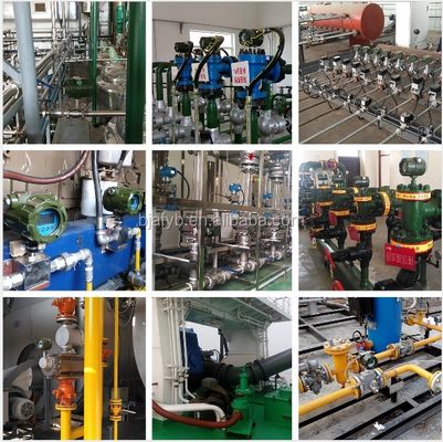 Digital Liquid Chemical Water Electromagnetic Flow Meter with Stainless Steel Variable Area